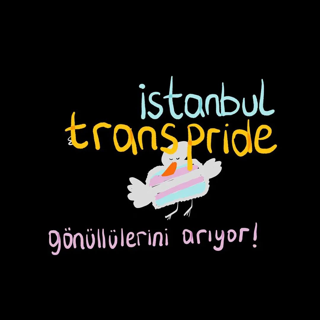 Arşiv medyası
