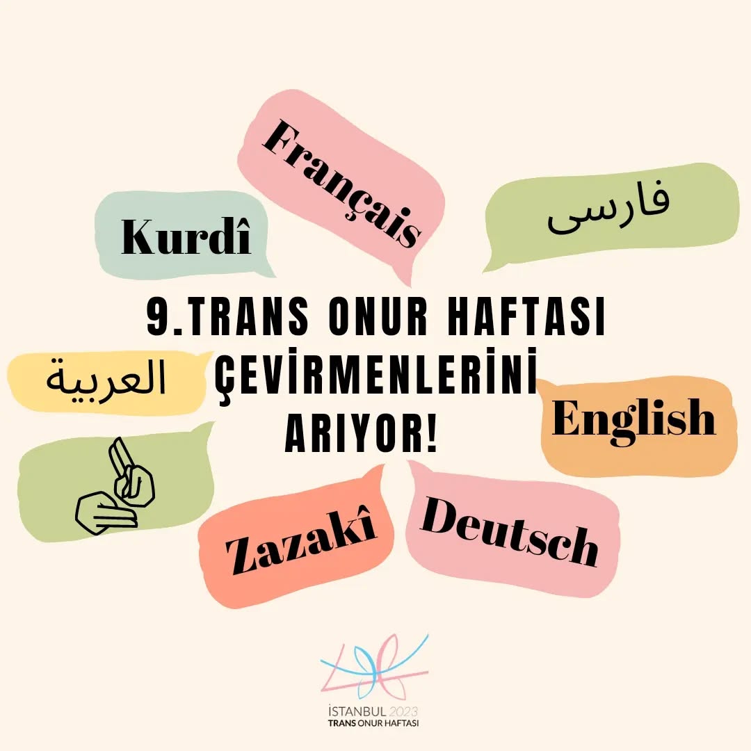 Arşiv medyası