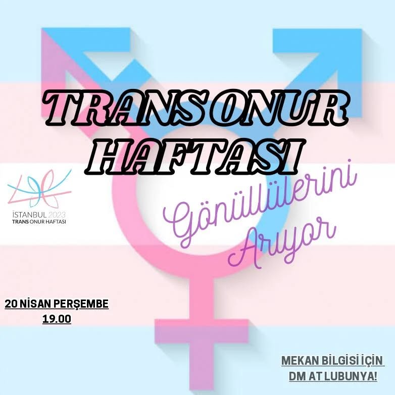 Arşiv medyası