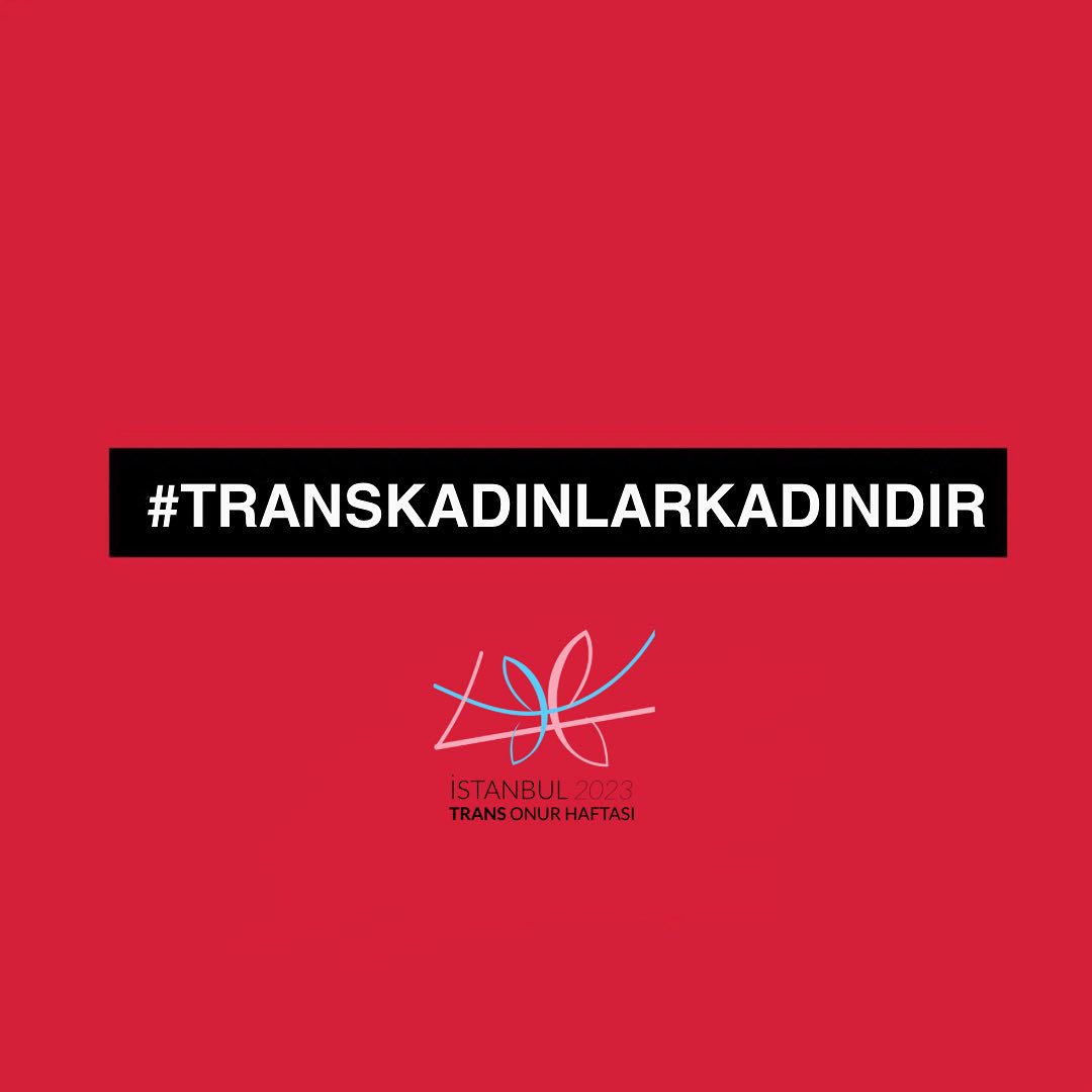Arşiv medyası