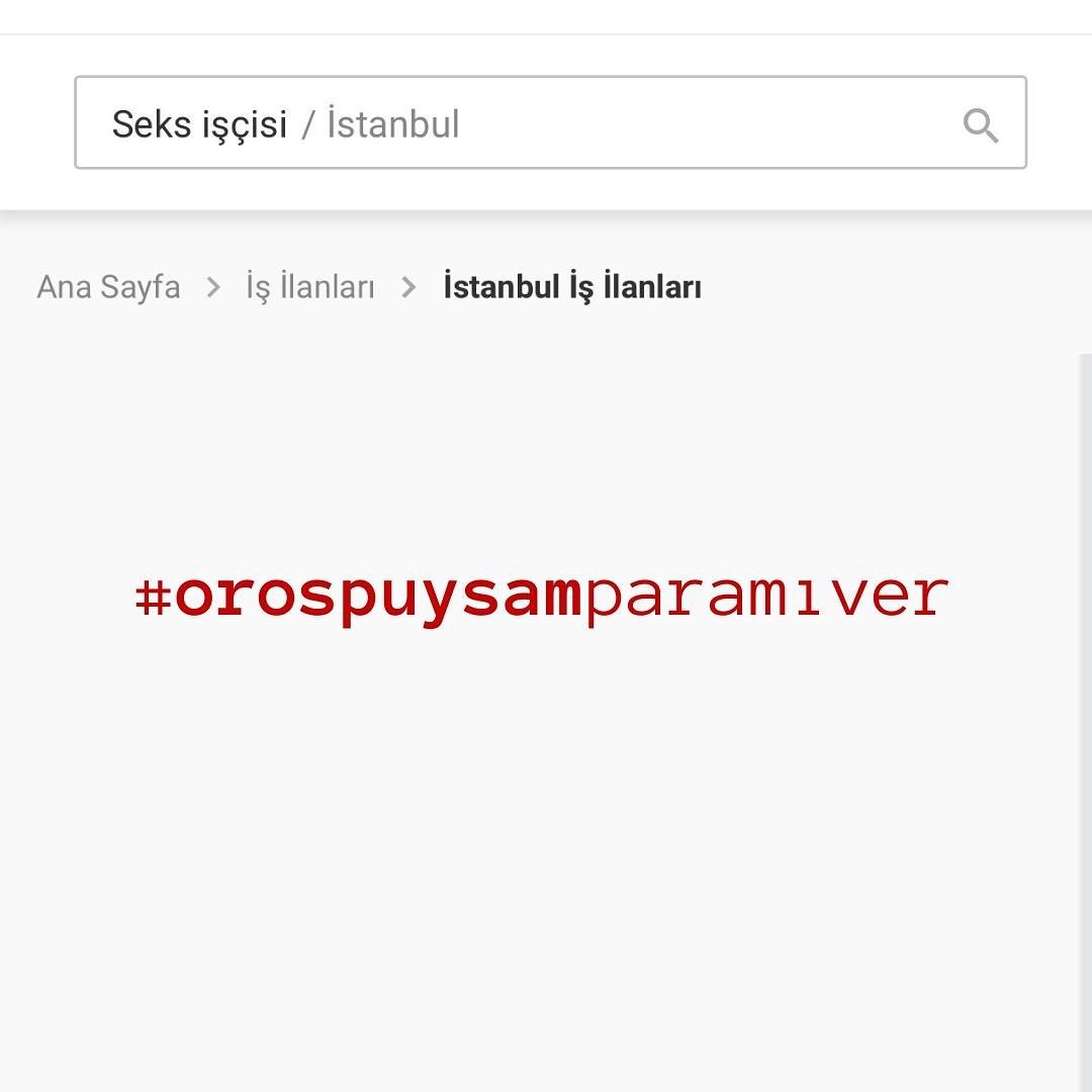 Arşiv medyası