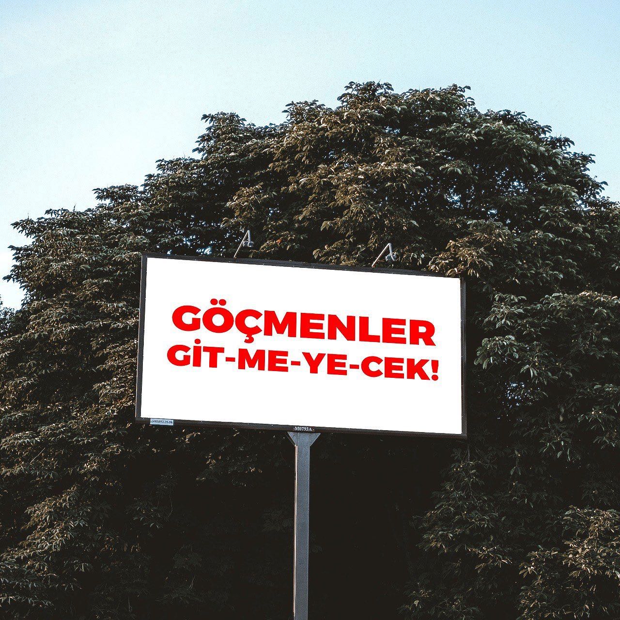 Arşiv medyası