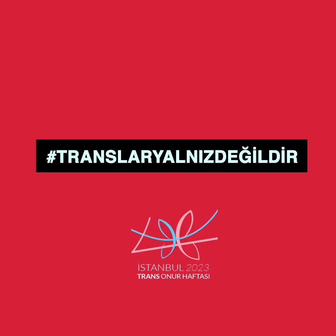 Arşiv medyası