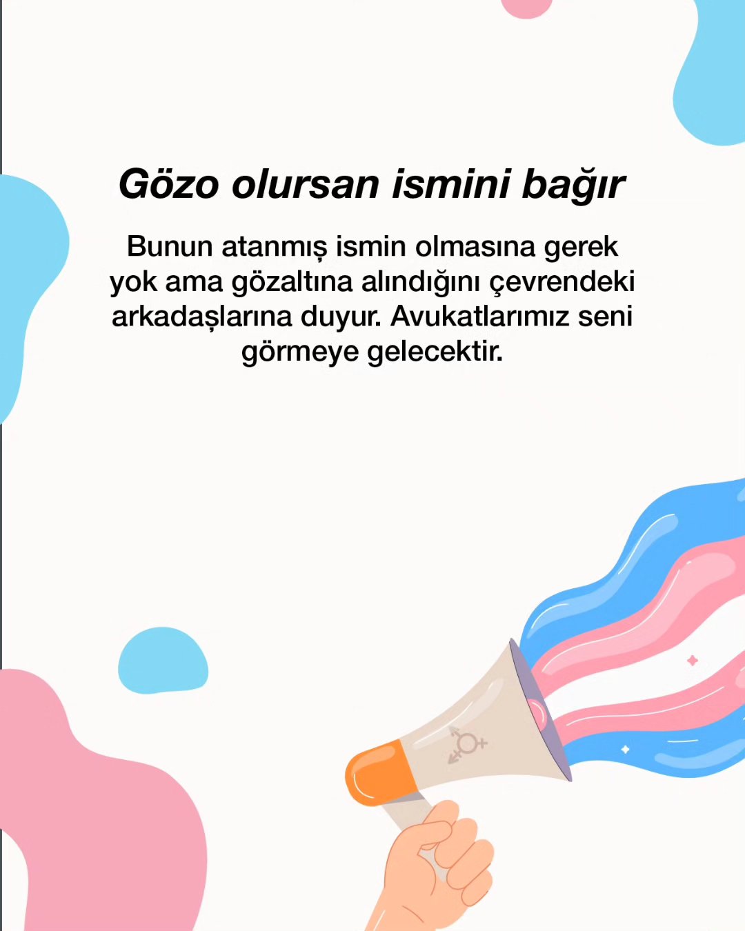 Arşiv medyası