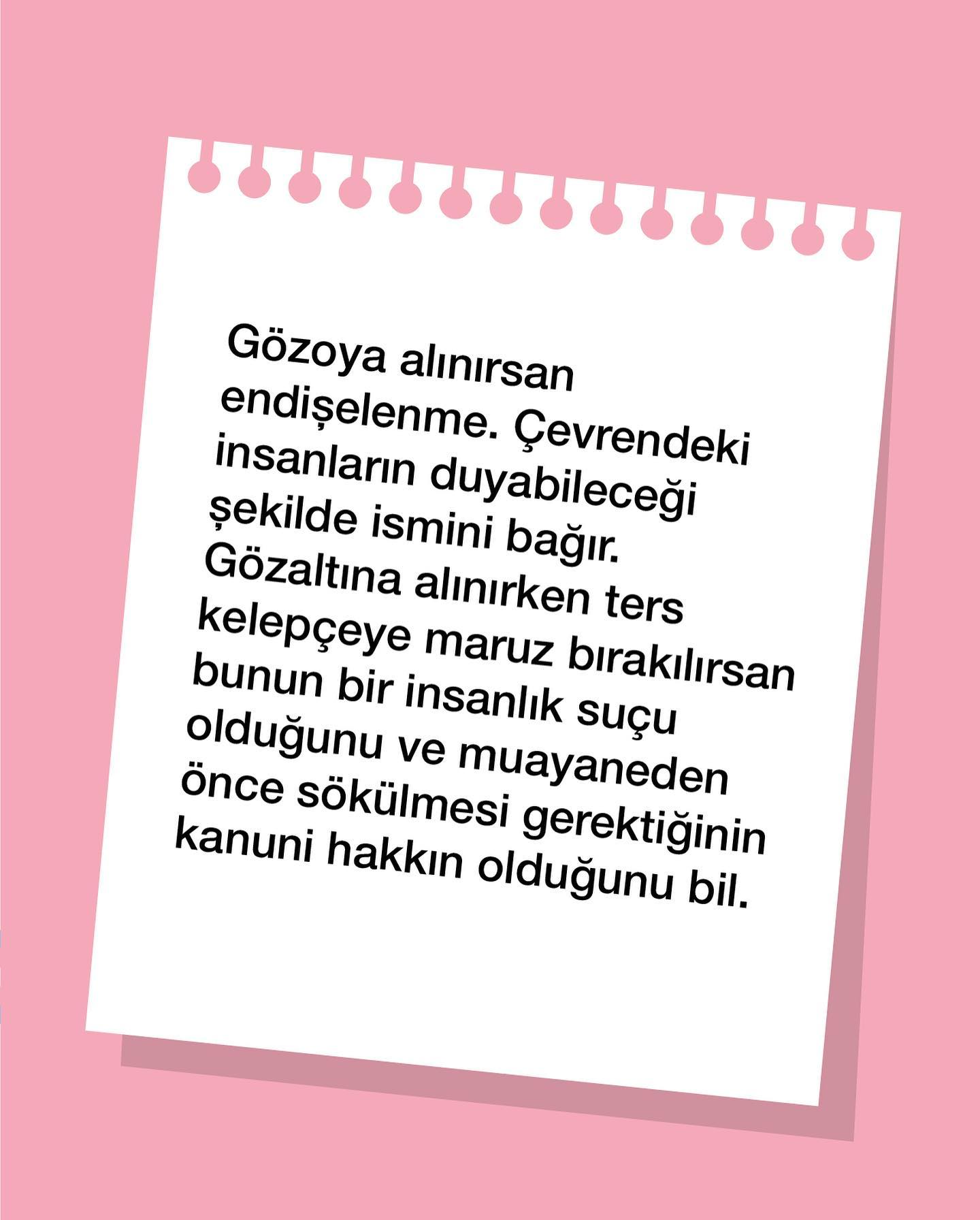 Arşiv medyası