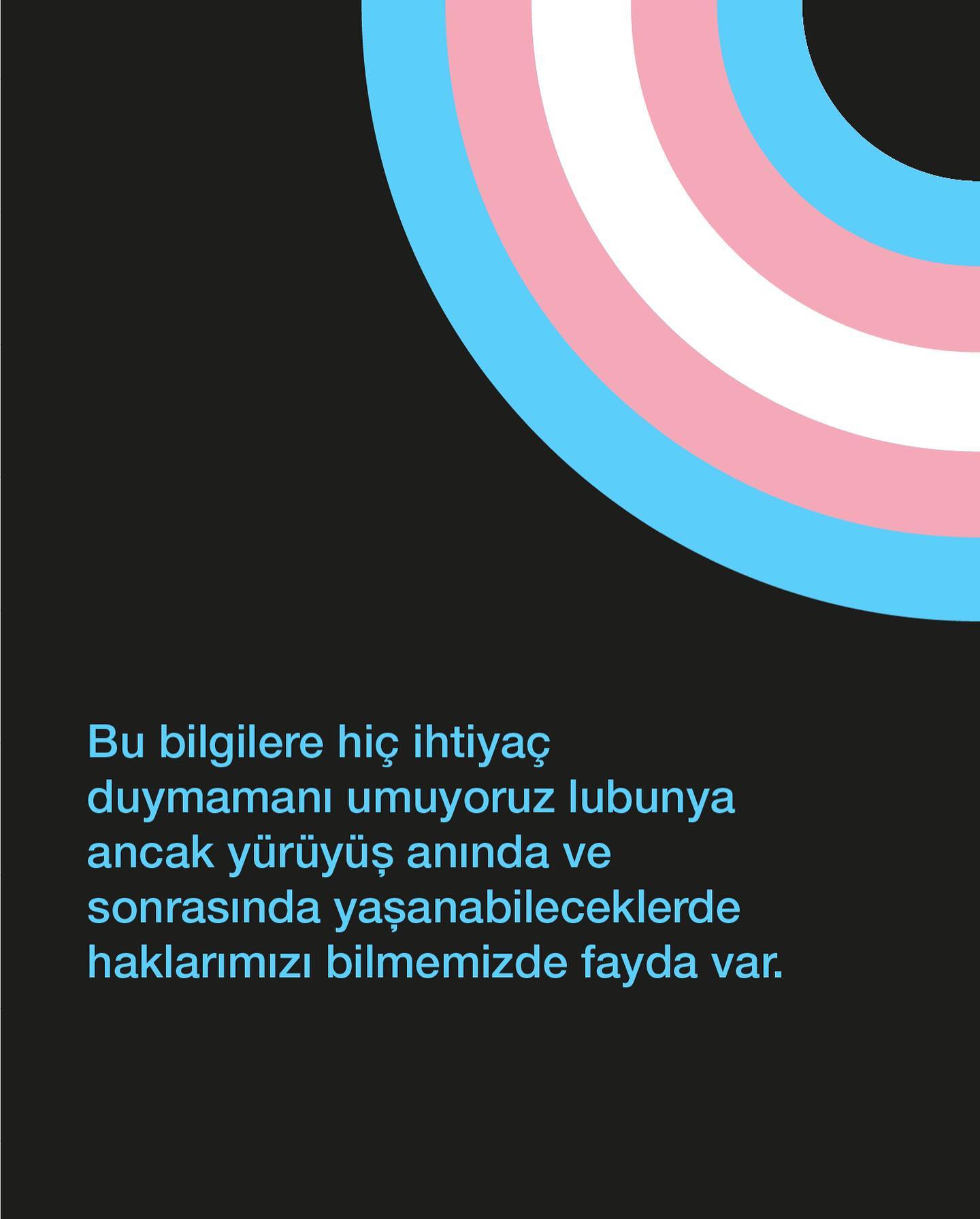 Arşiv medyası