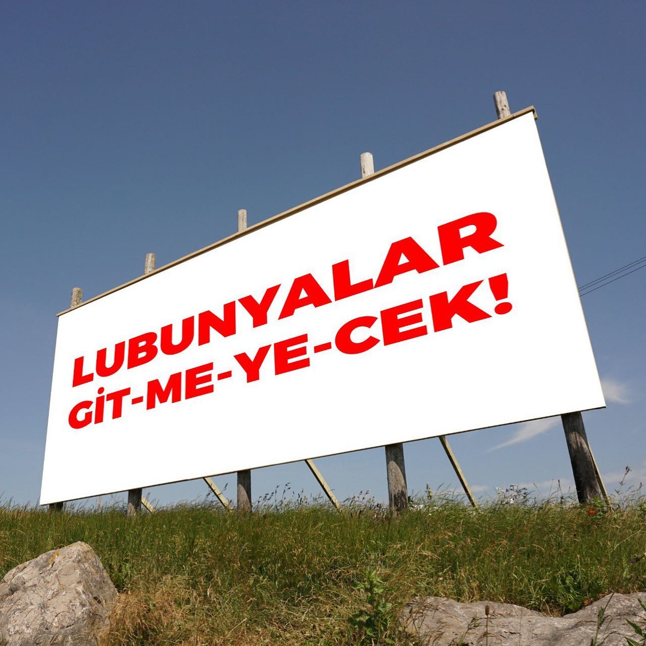 Arşiv medyası