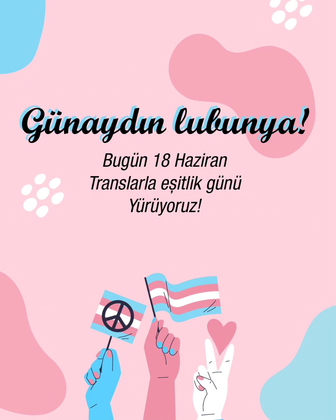 Arşiv medyası
