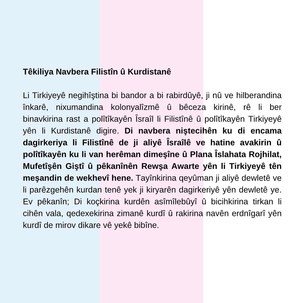 Arşiv medyası