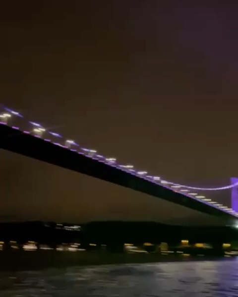Arşiv medyası