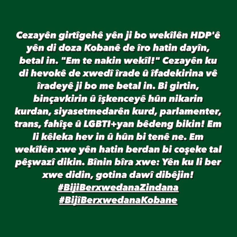 Arşiv medyası