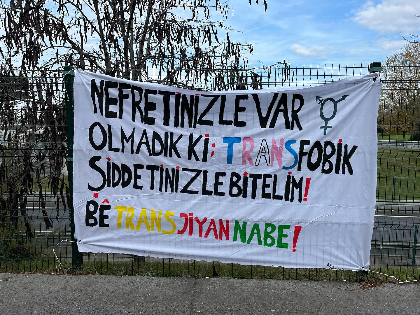 Arşiv medyası