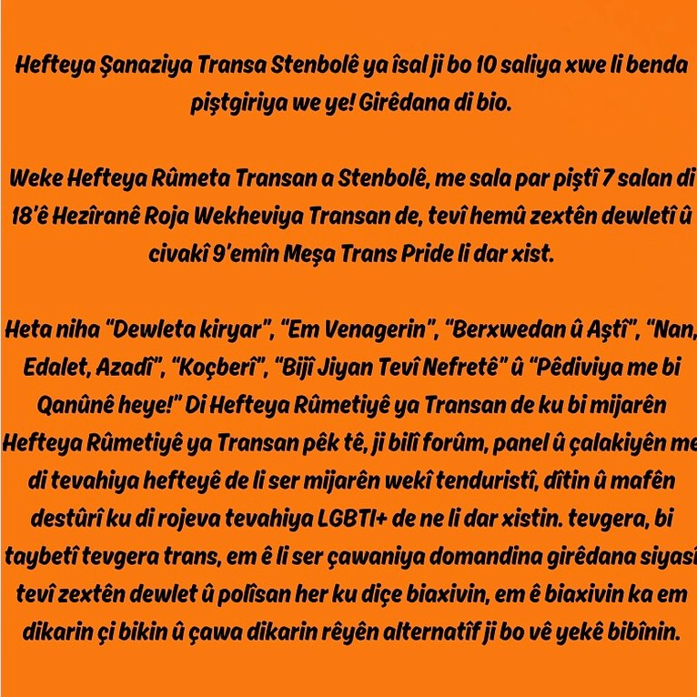 Arşiv medyası