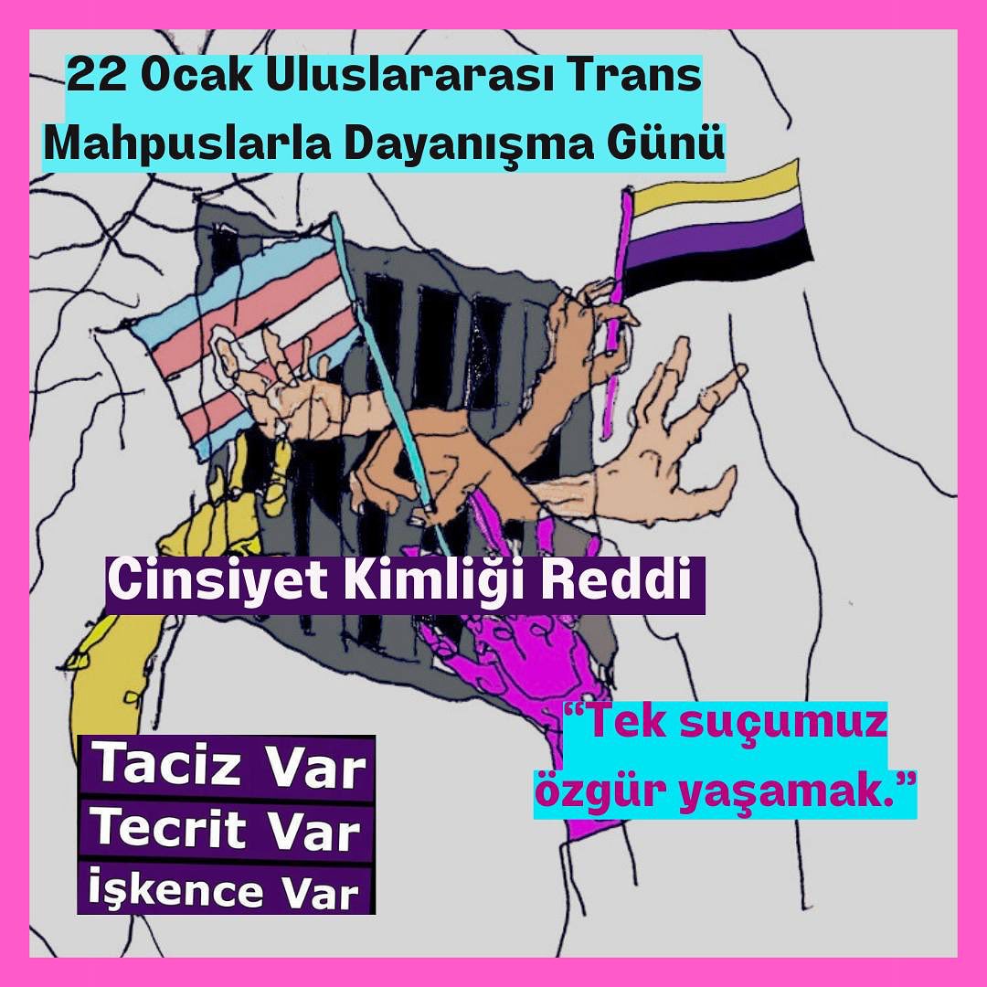 Arşiv medyası
