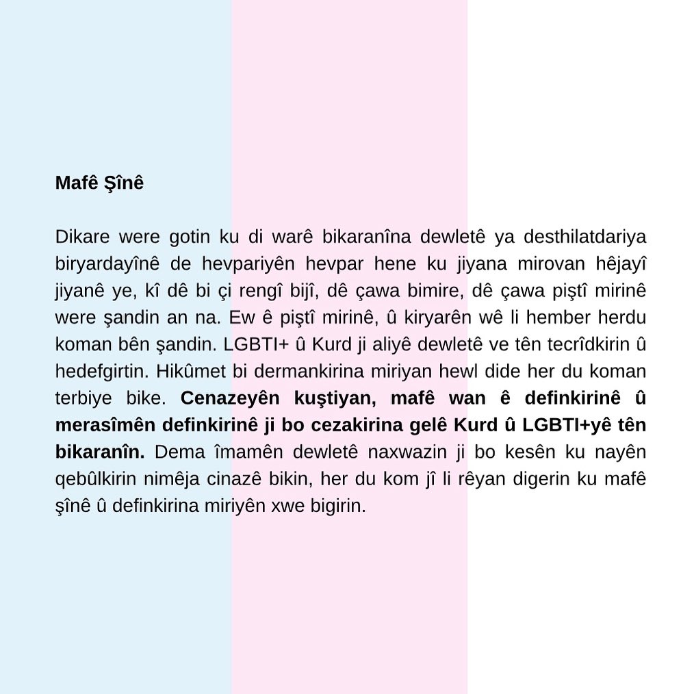 Arşiv medyası