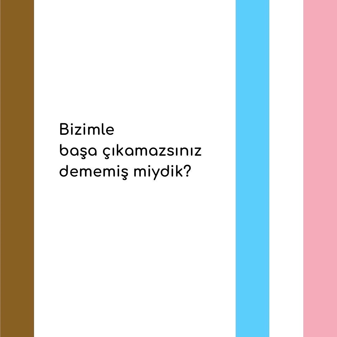 Arşiv medyası