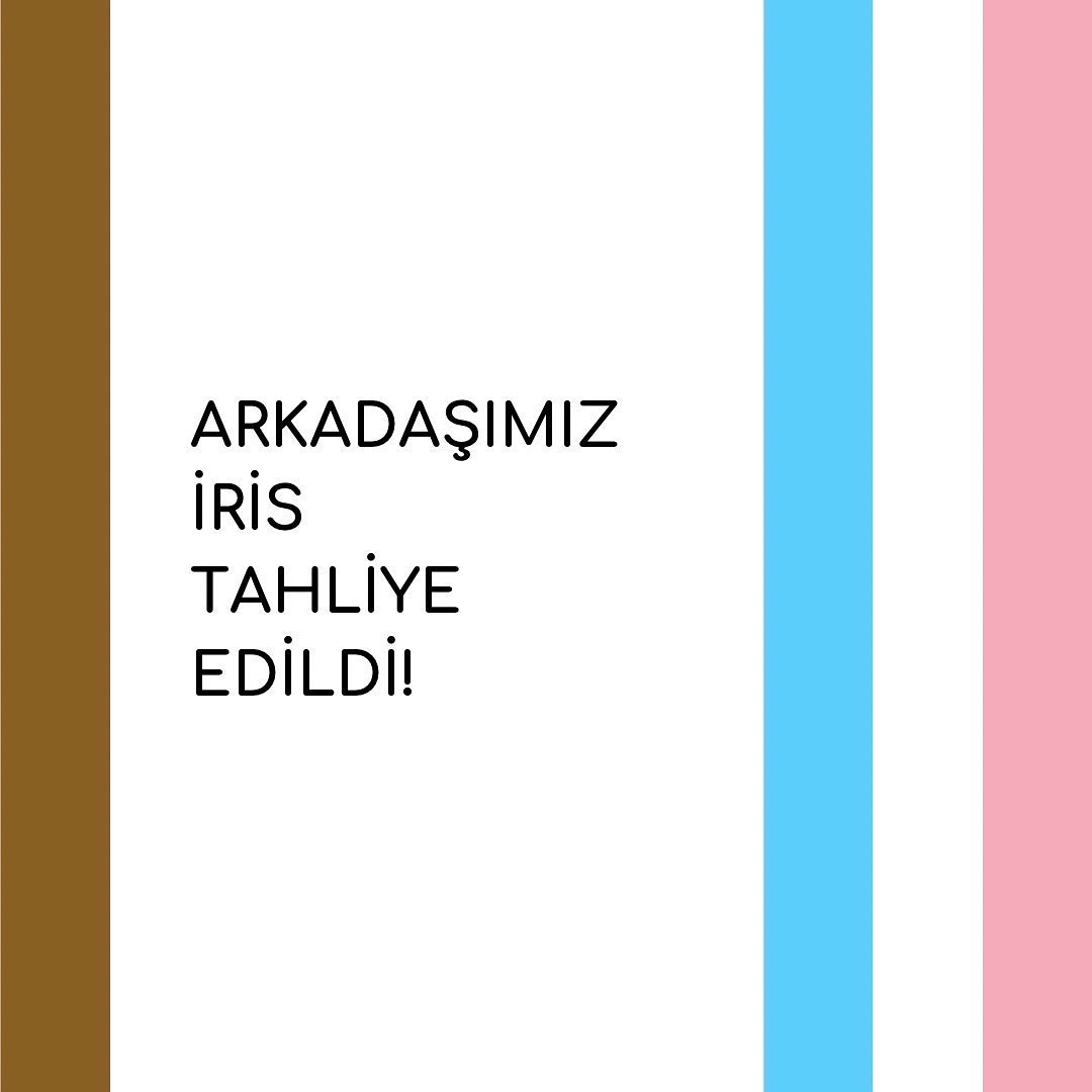 Arşiv medyası