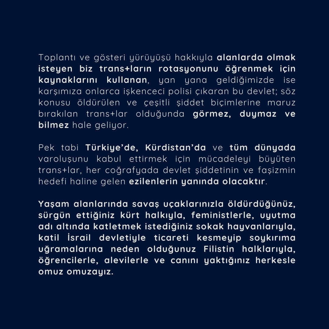 Arşiv medyası
