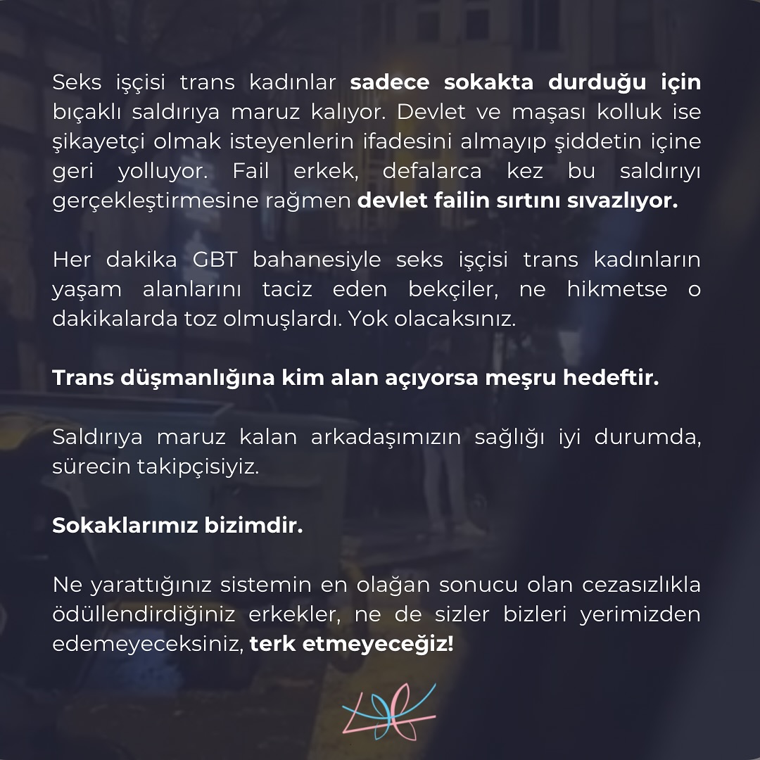 Arşiv medyası