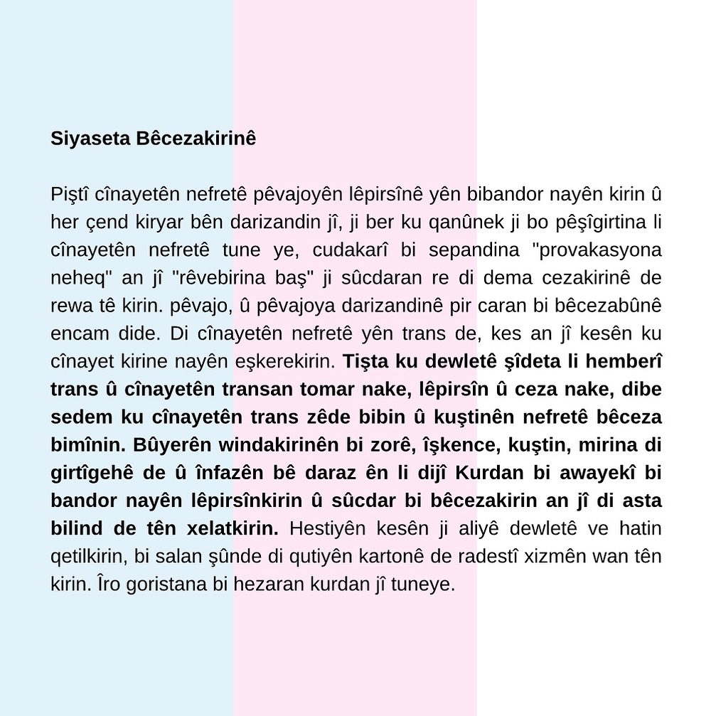 Arşiv medyası