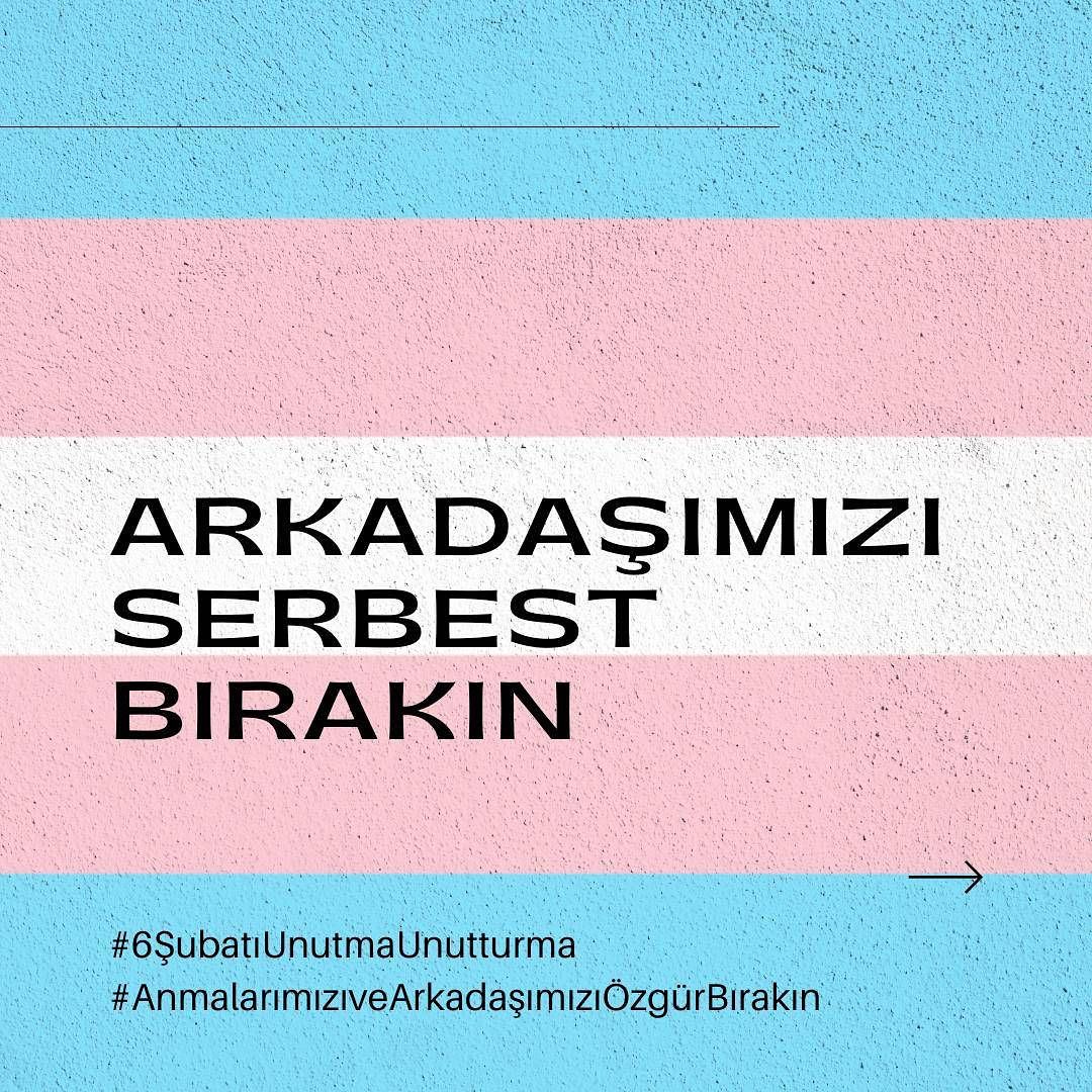 Arşiv medyası