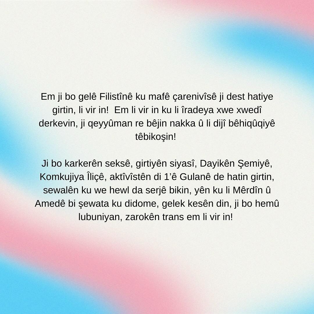 Arşiv medyası
