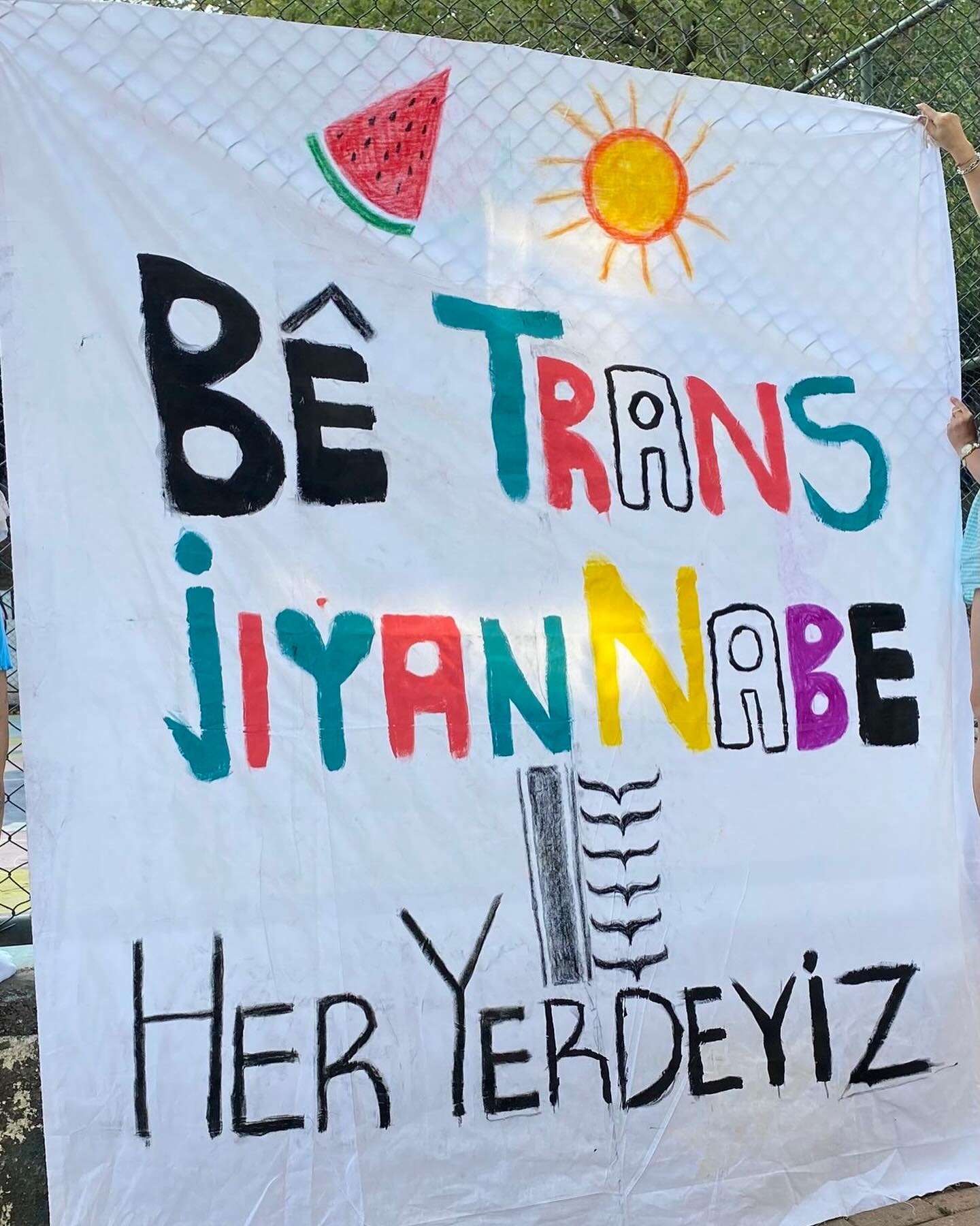 Arşiv medyası