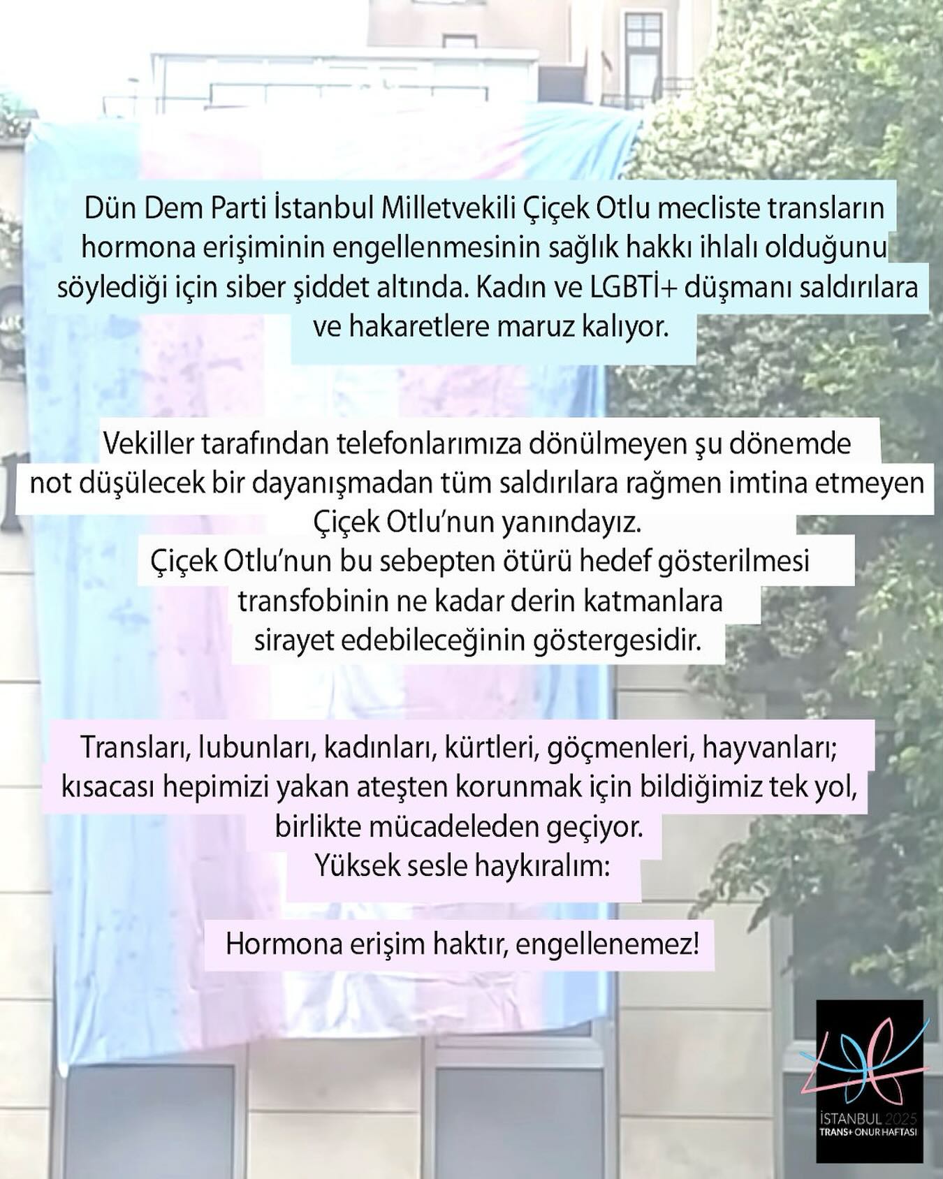 Arşiv medyası