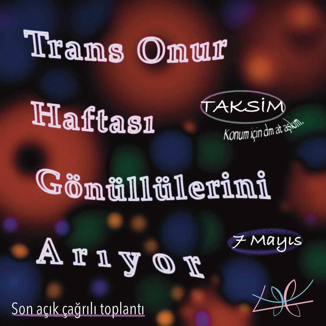 Arşiv medyası
