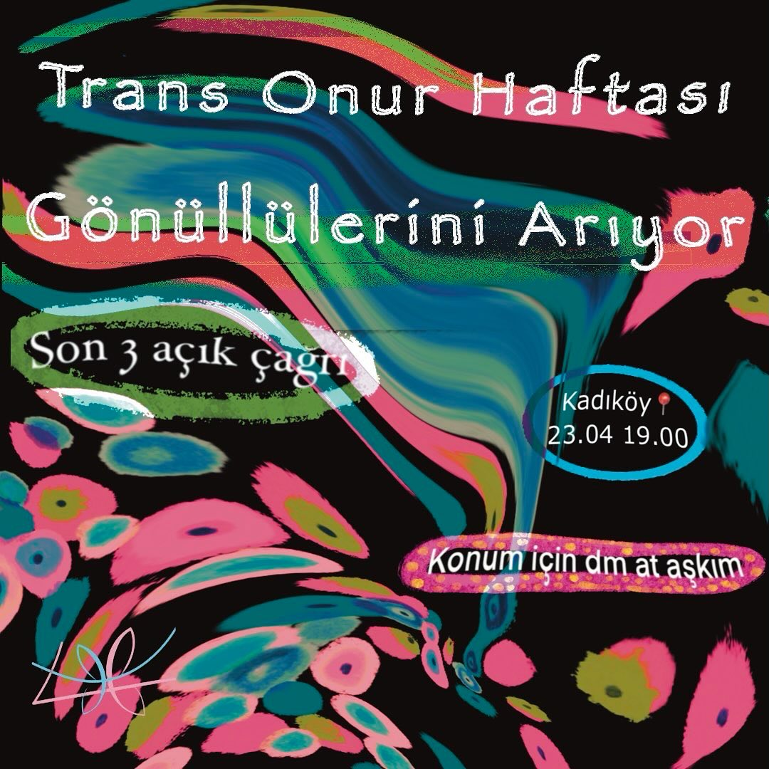 Arşiv medyası