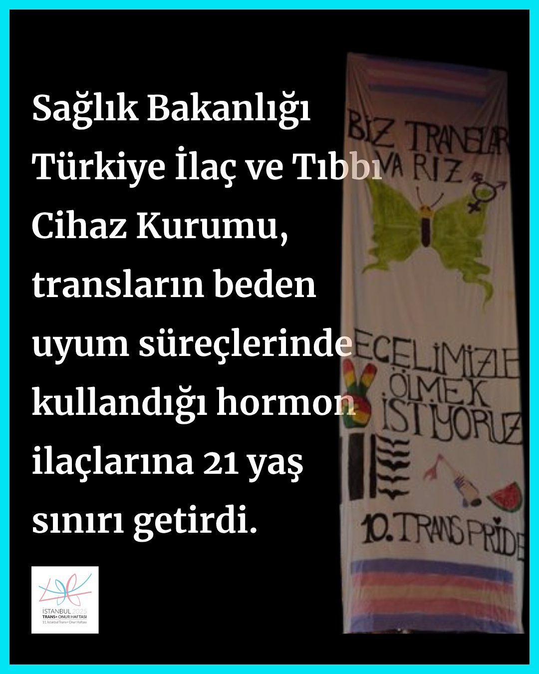 Arşiv medyası