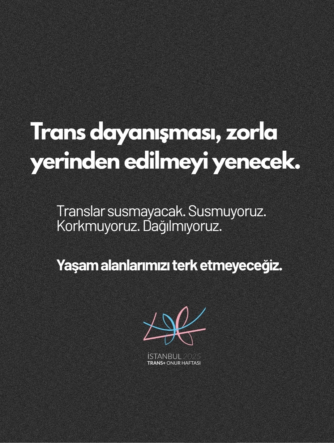 Arşiv medyası