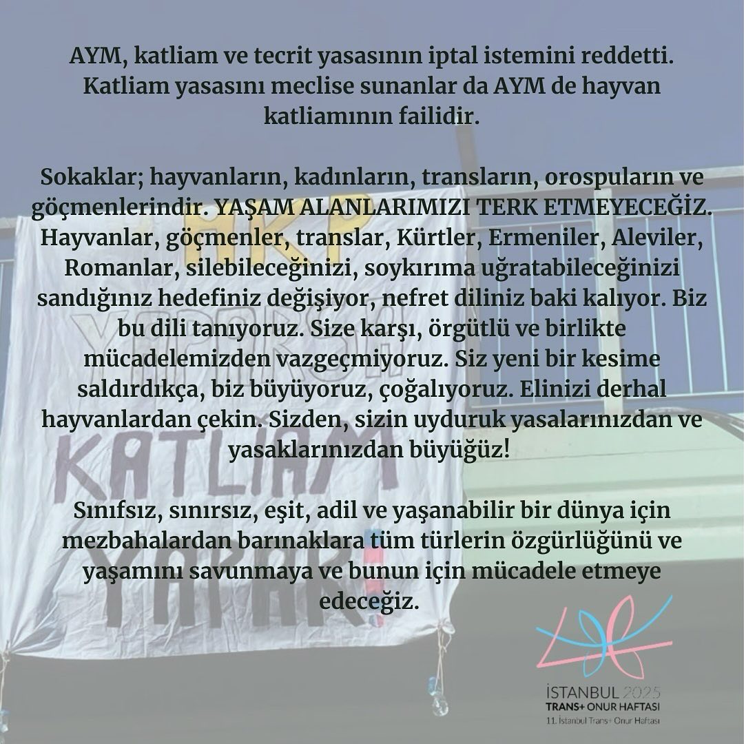 Arşiv medyası