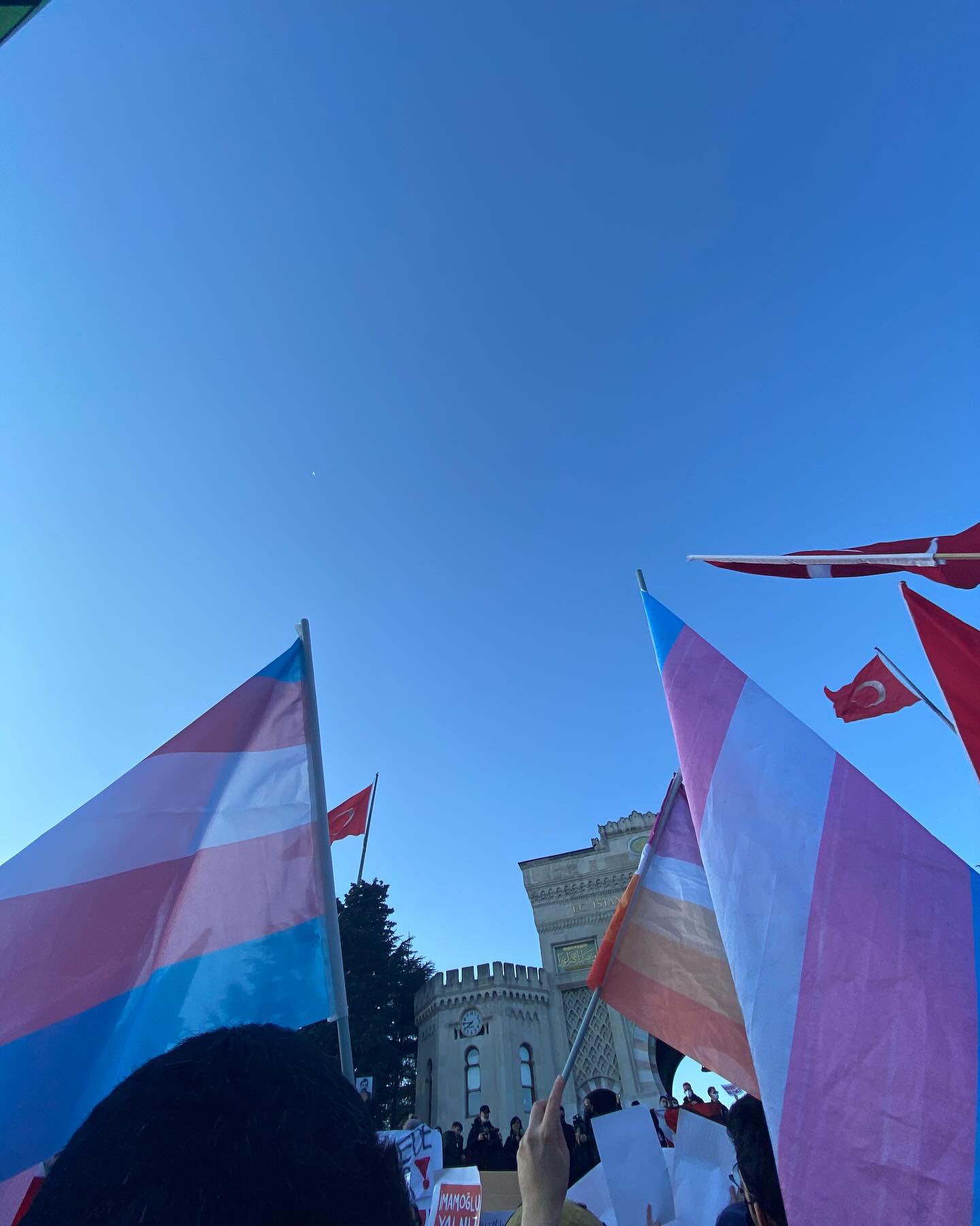 Arşiv medyası