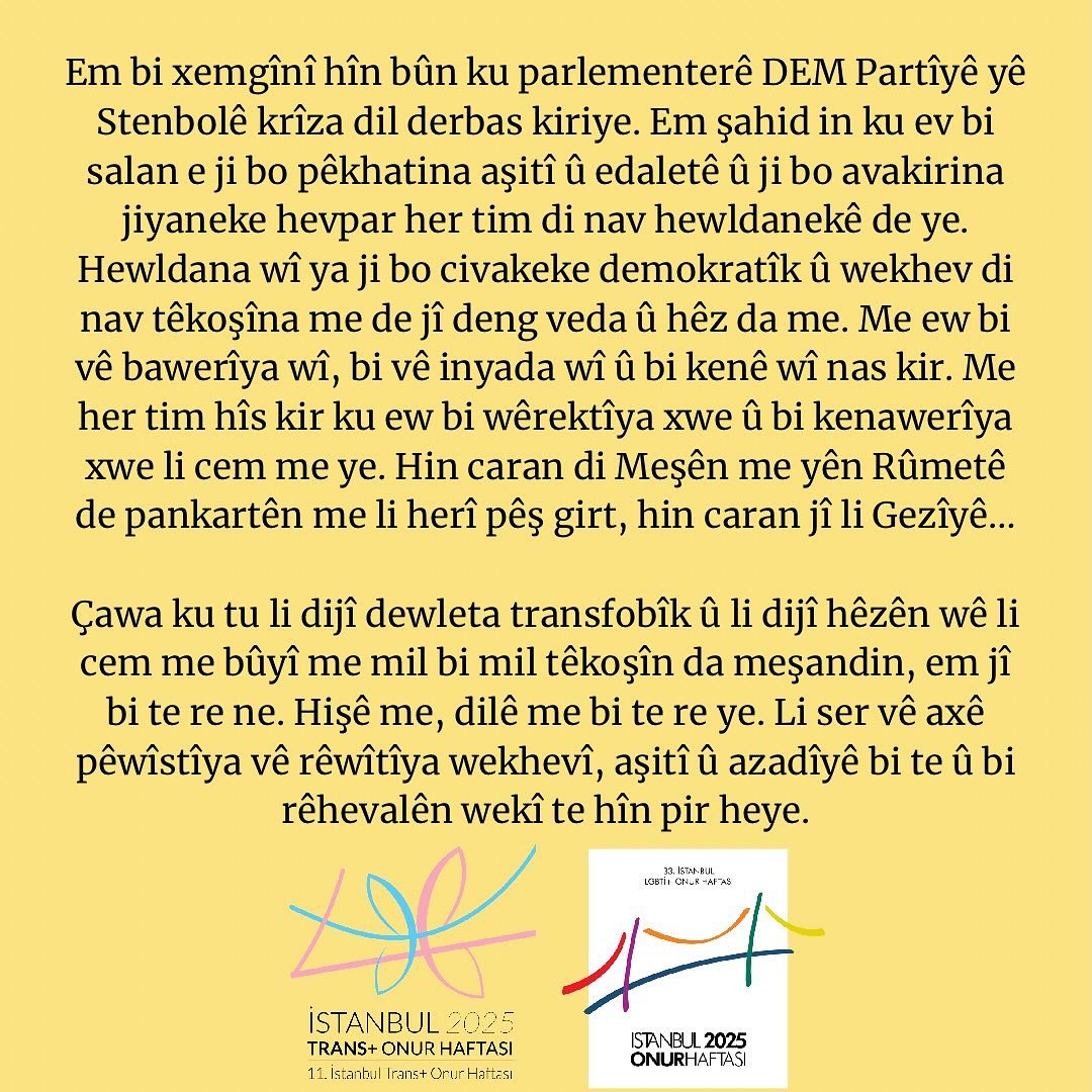 Arşiv medyası