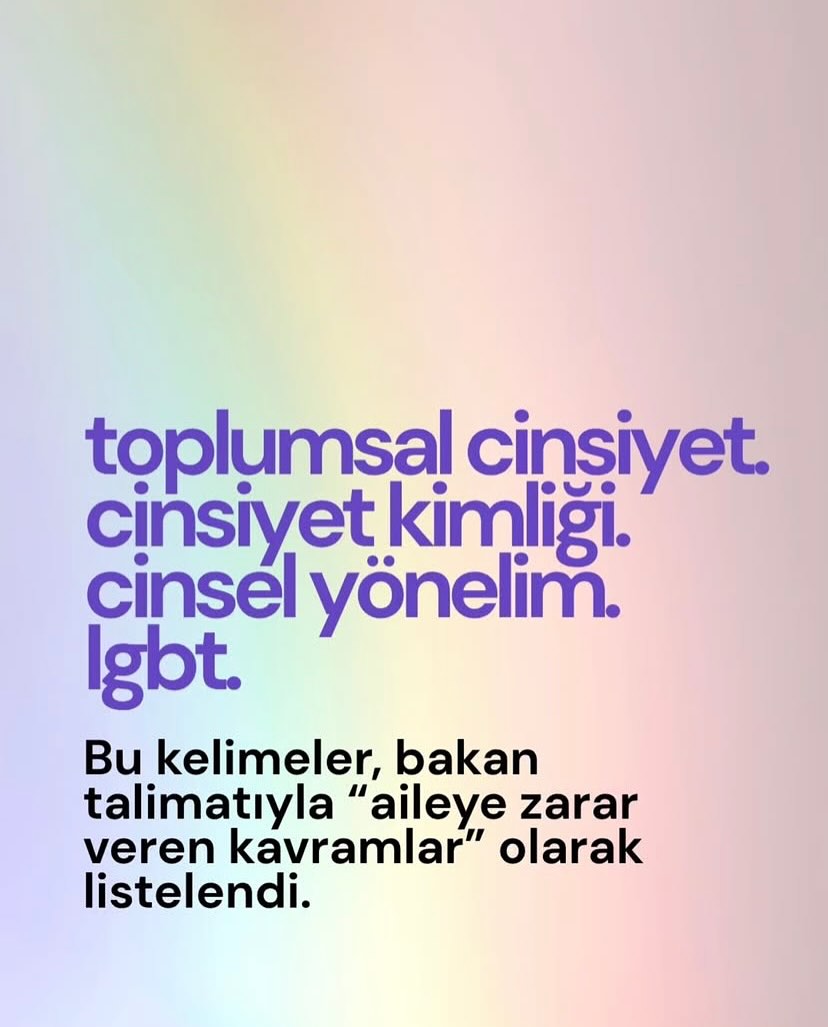 Arşiv medyası