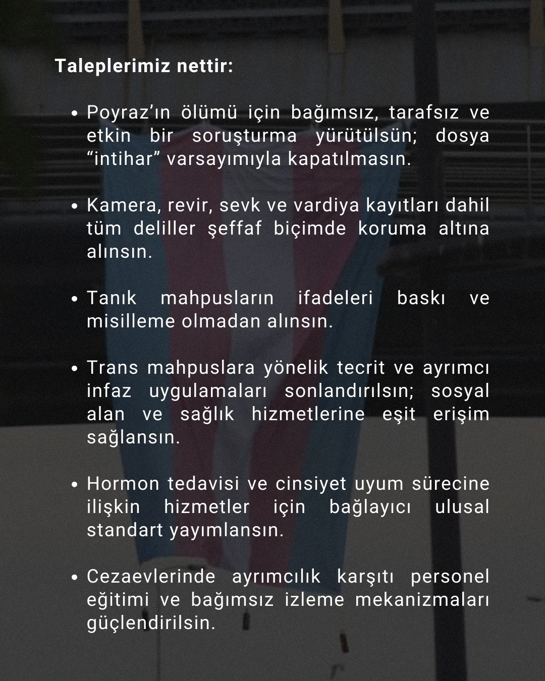 Arşiv medyası