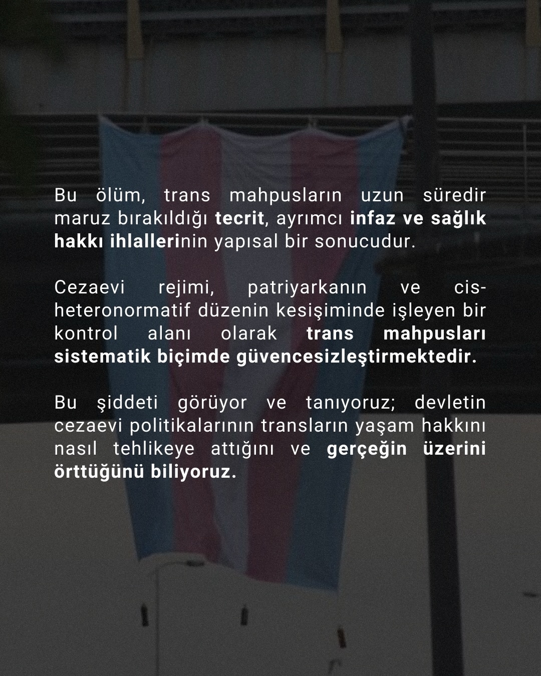 Arşiv medyası