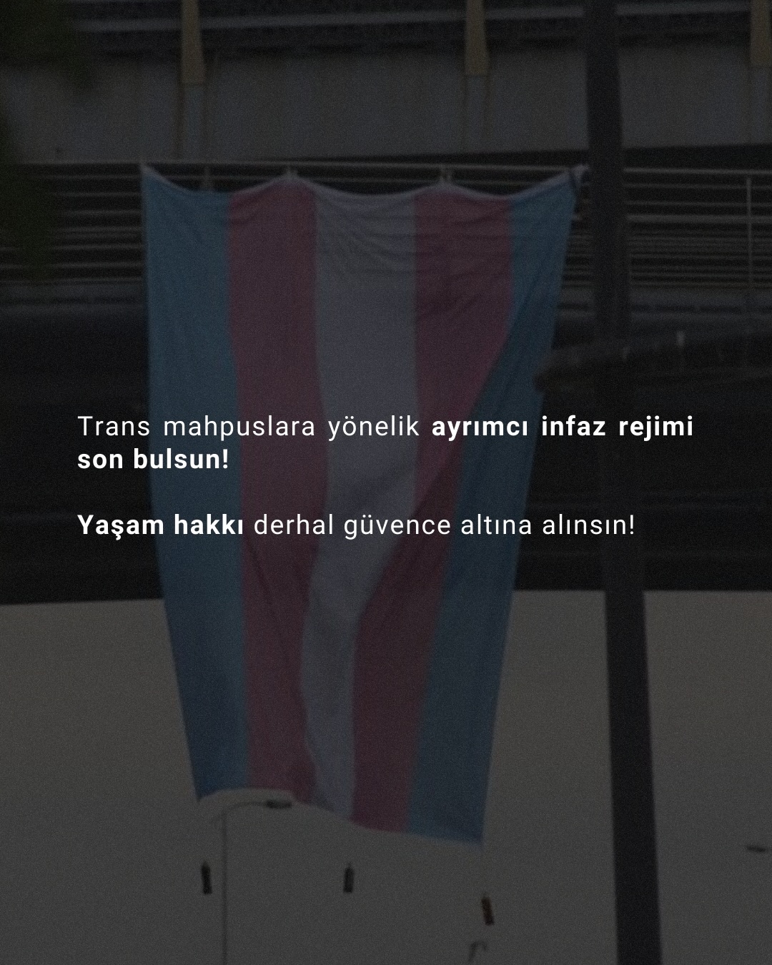 Arşiv medyası