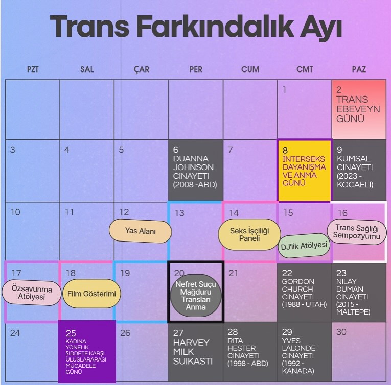 Arşiv medyası