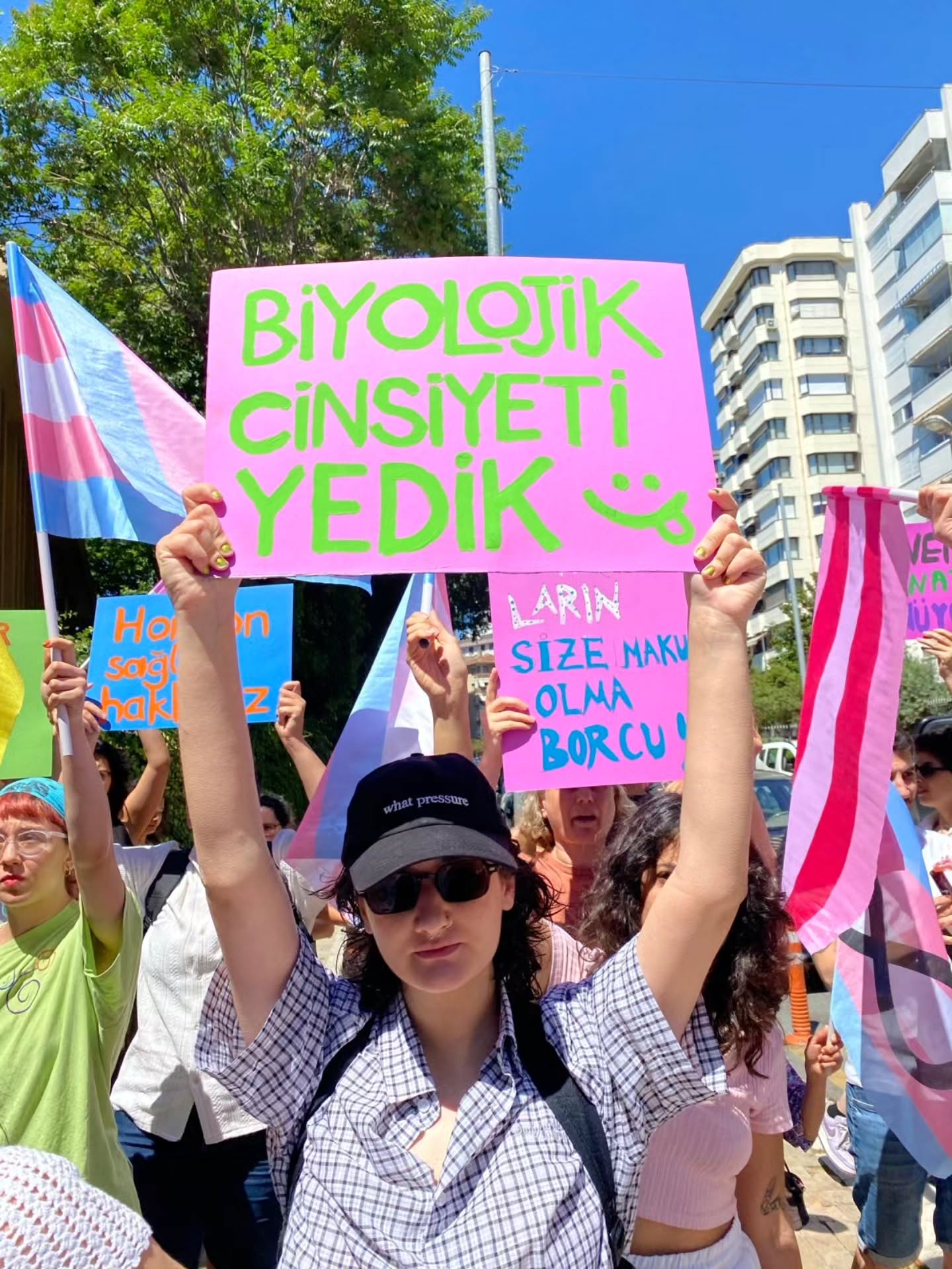 Arşiv medyası
