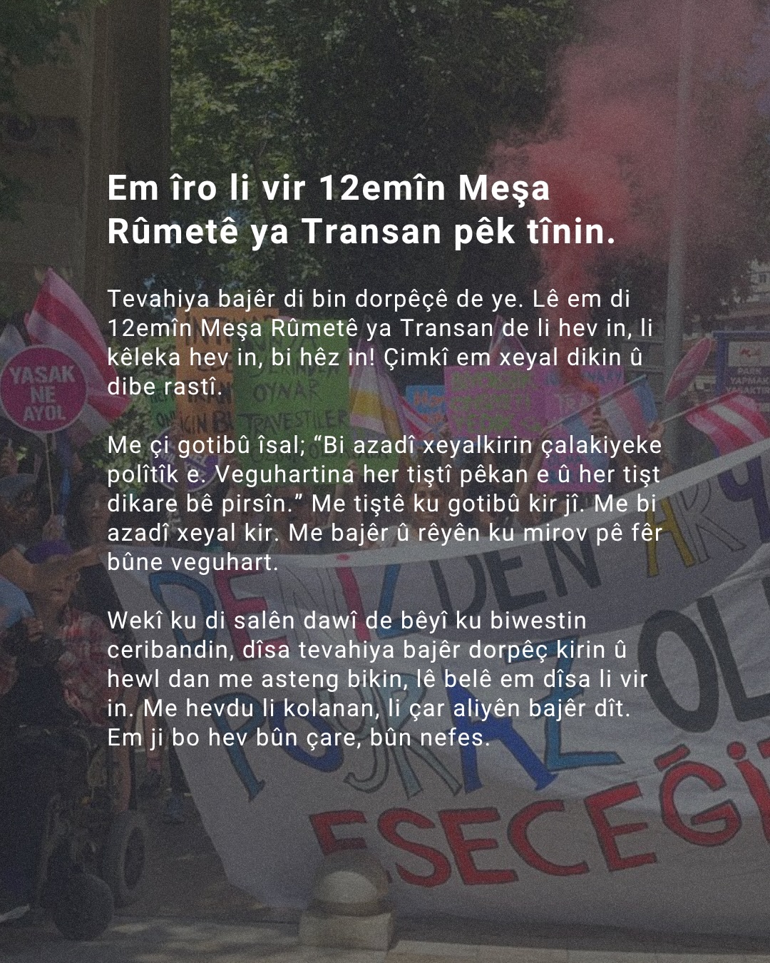 Arşiv medyası