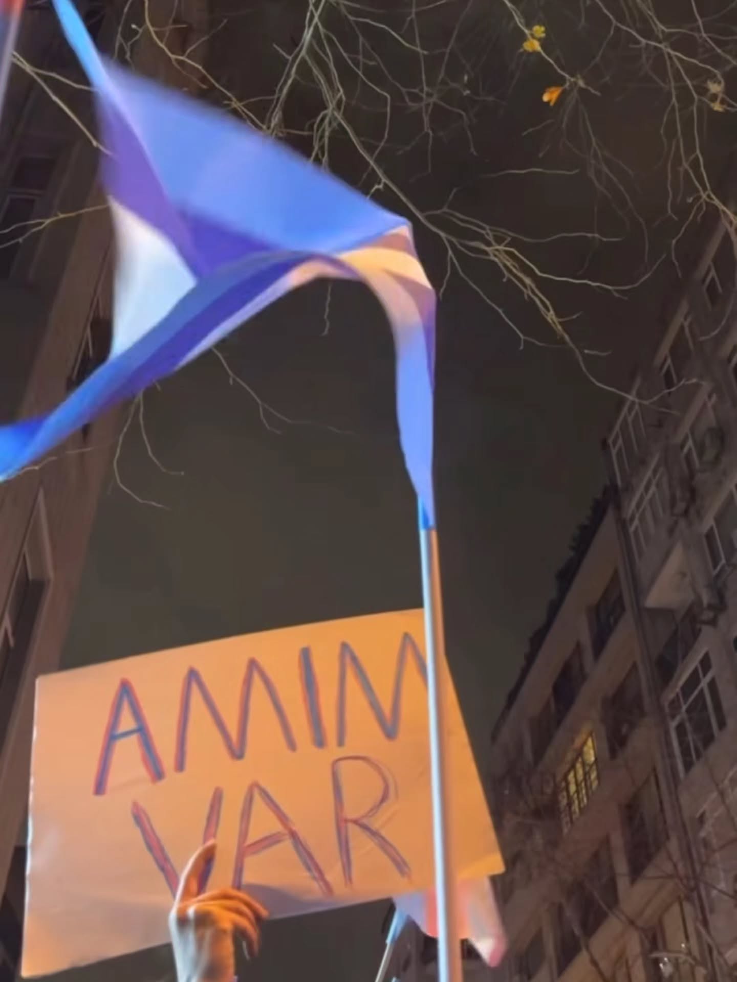 Arşiv medyası