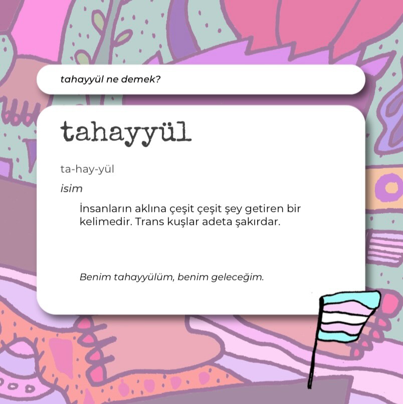Arşiv medyası