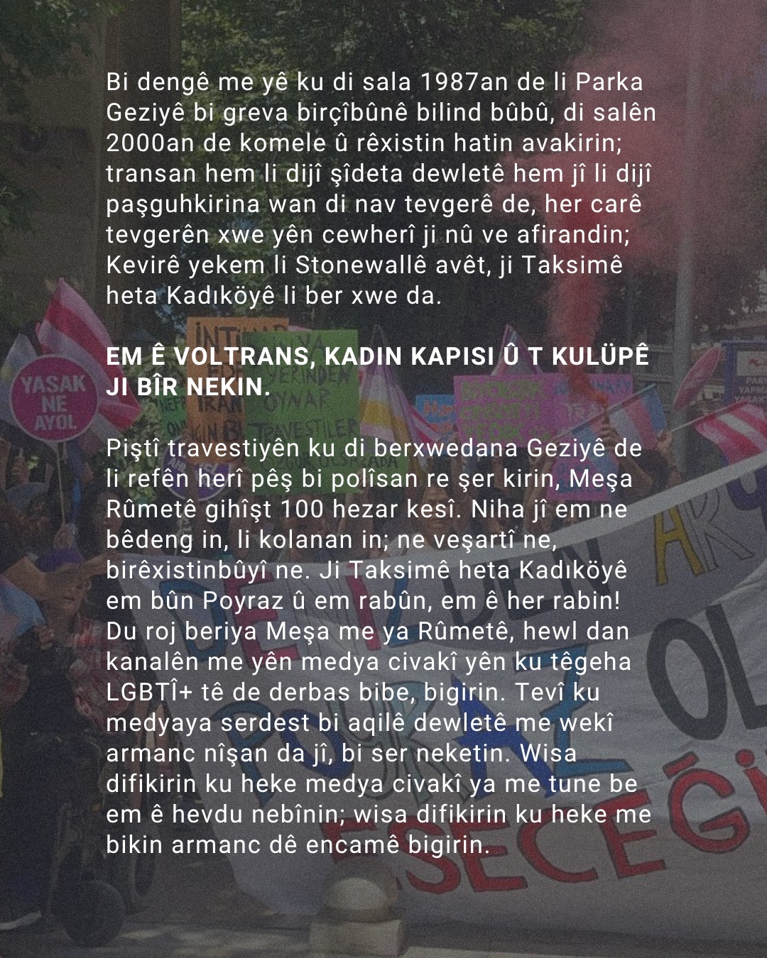 Arşiv medyası
