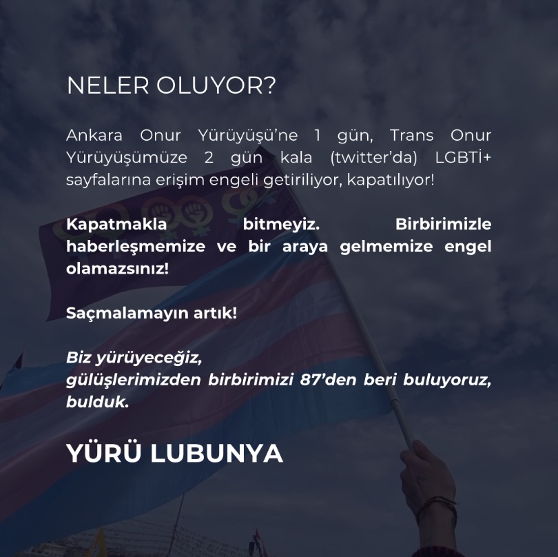Arşiv medyası