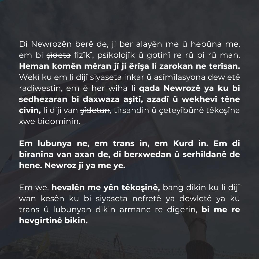 Arşiv medyası