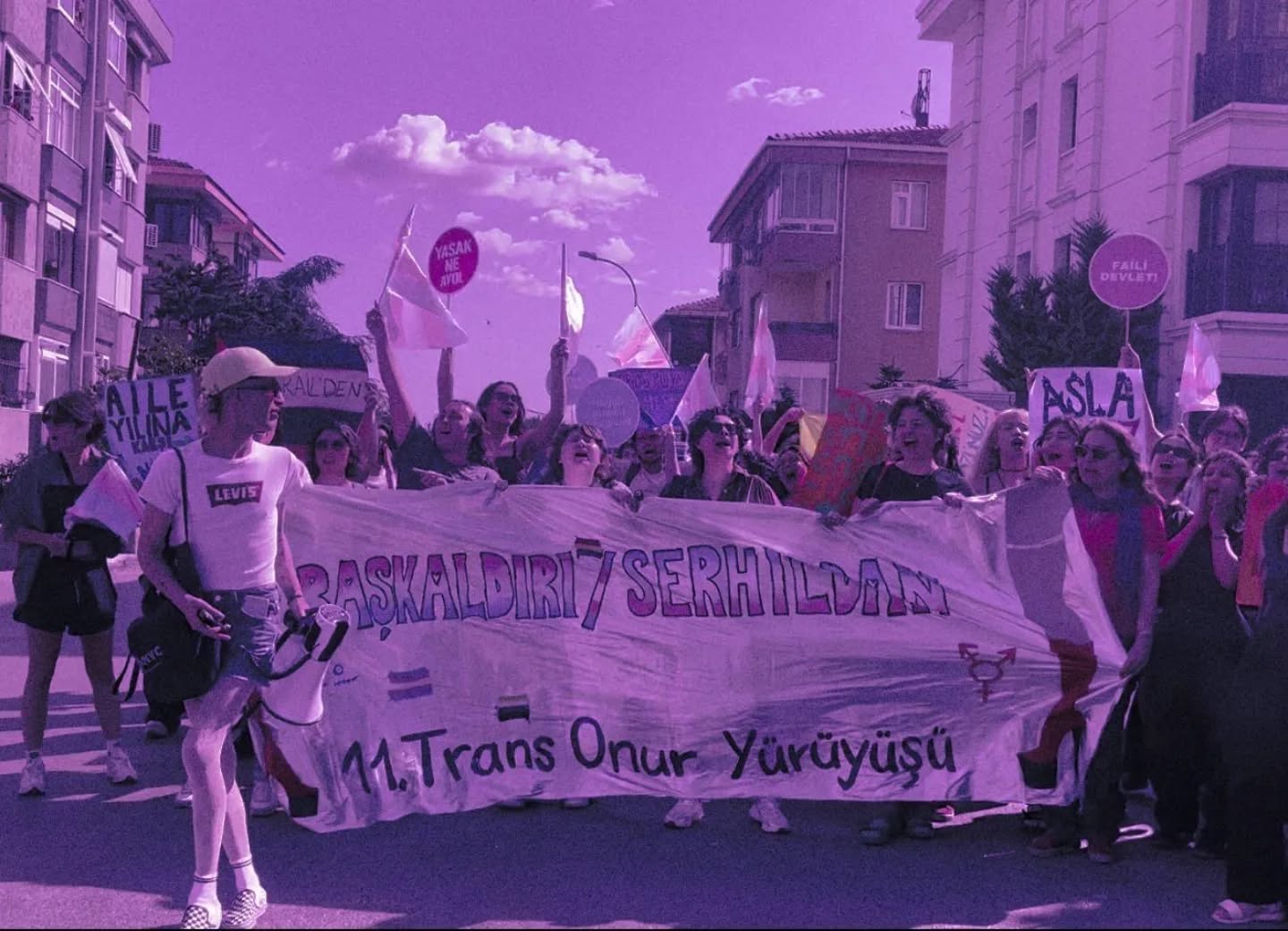 Arşiv medyası