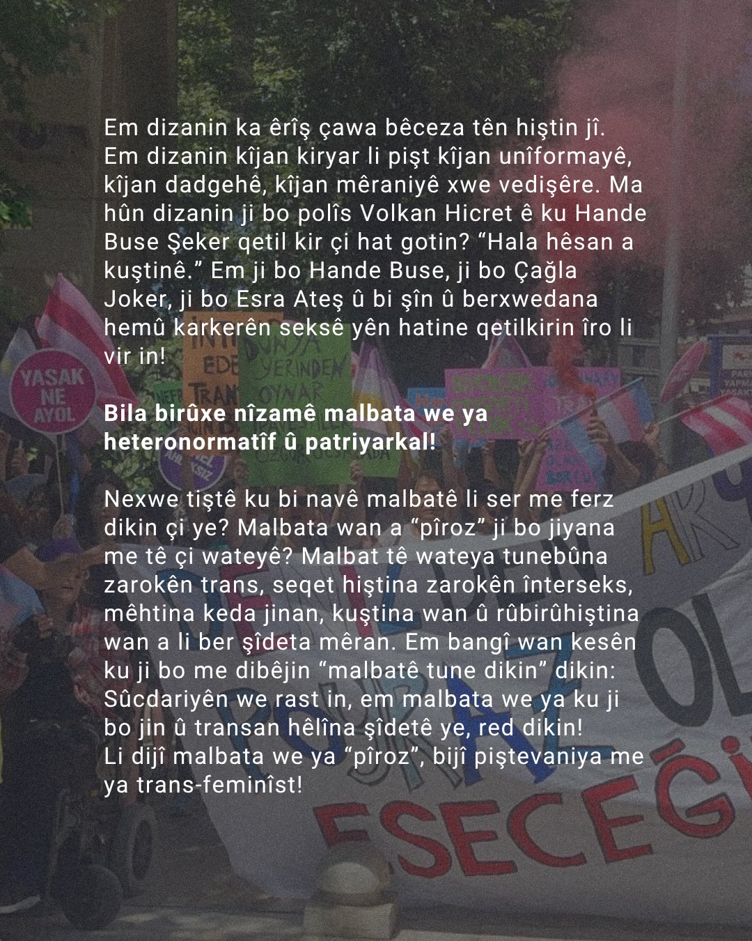 Arşiv medyası