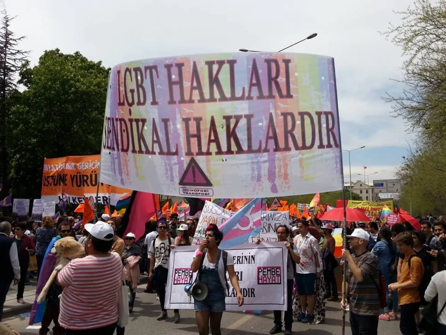 Arşiv medyası